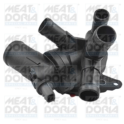 Thermostat, coolant